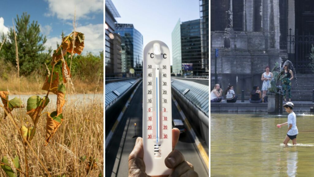 Belgium in Brief: Hot in the city
