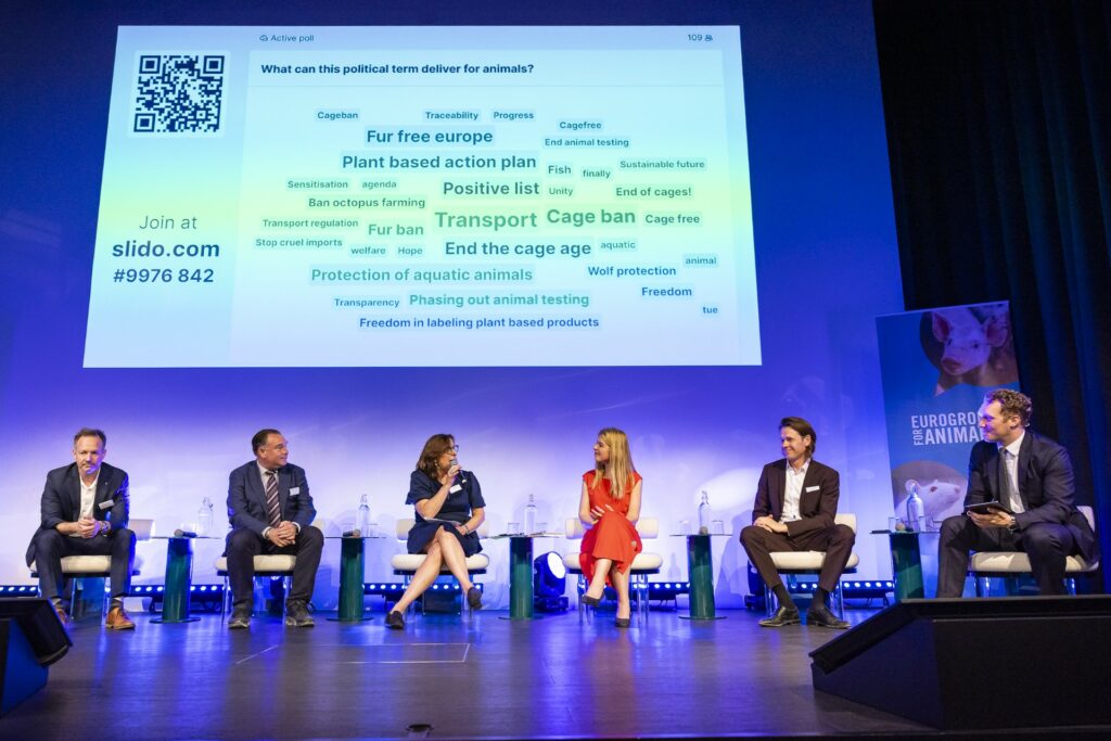 Animal welfare: Some new EU legislation but still slow progress