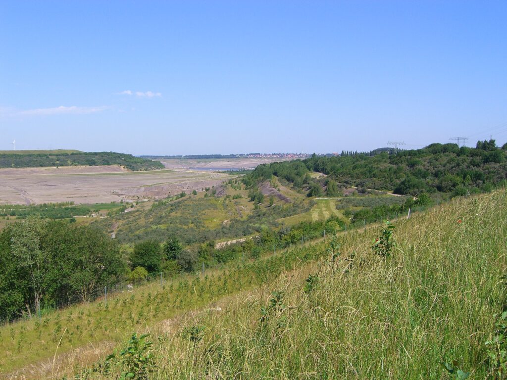 Former open-pit coal mines could be turned into solar farms, NGO says