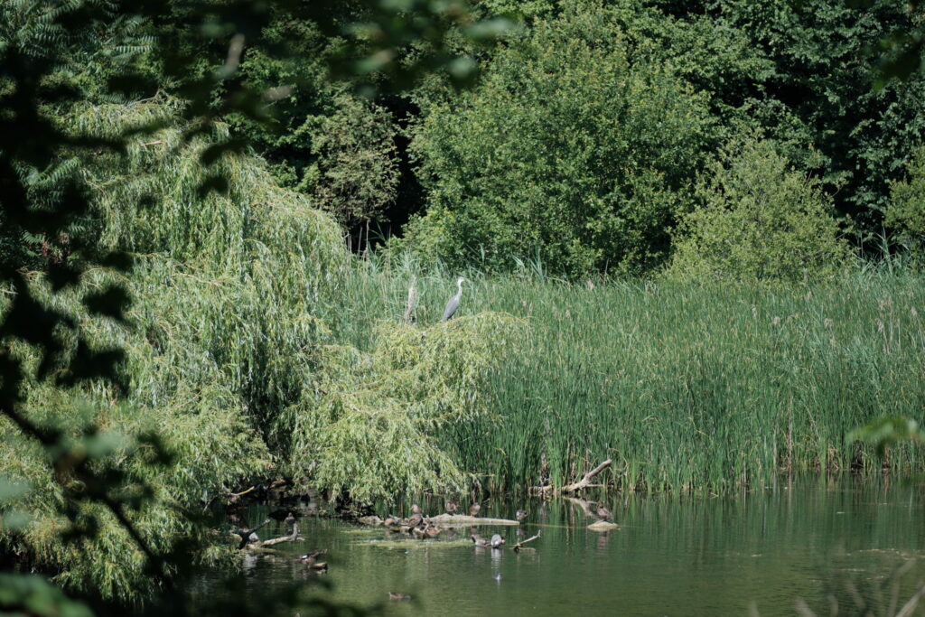 Brussels takes steps to protect biodiversity with 'Natura 2000' plans