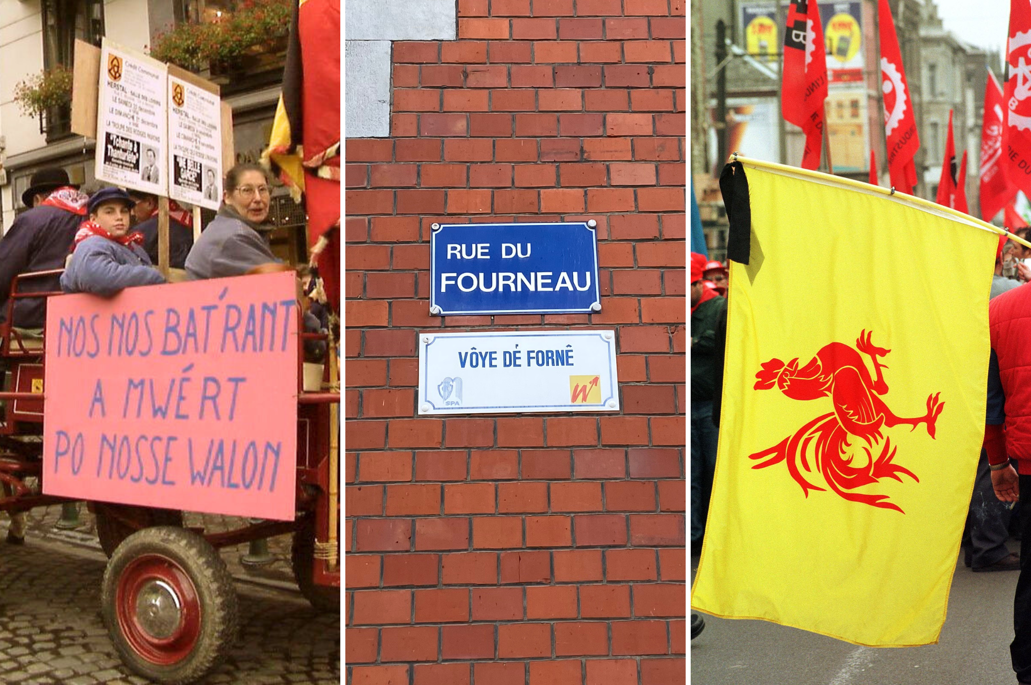 Belgium’s forbidden language 'at the point of no return'