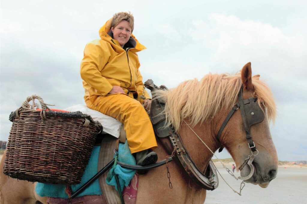 Two new shrimp fishermen on horseback pass exam in Oostduinkerke