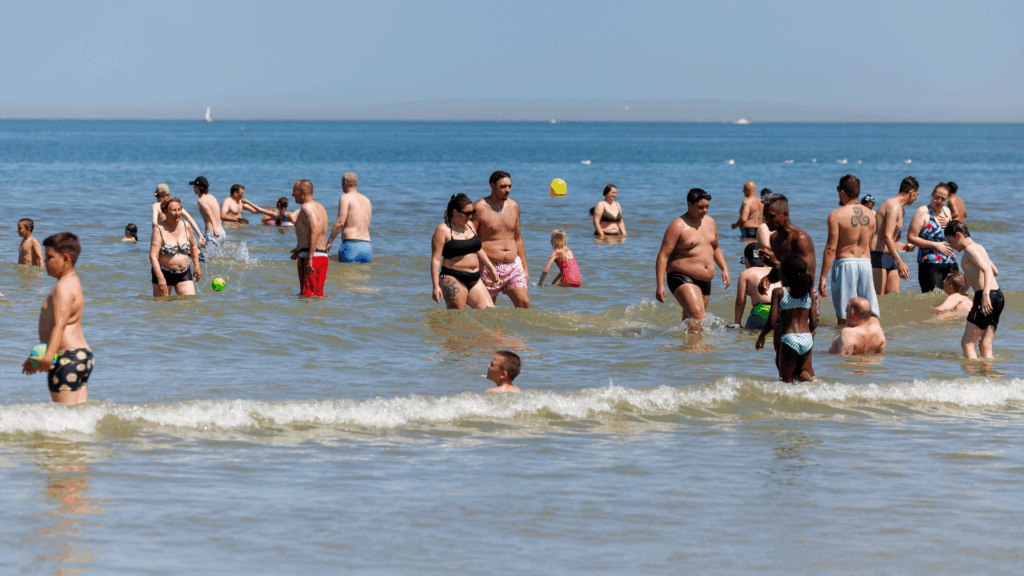 Warning issued over Vibrio bacteria in coastal waters