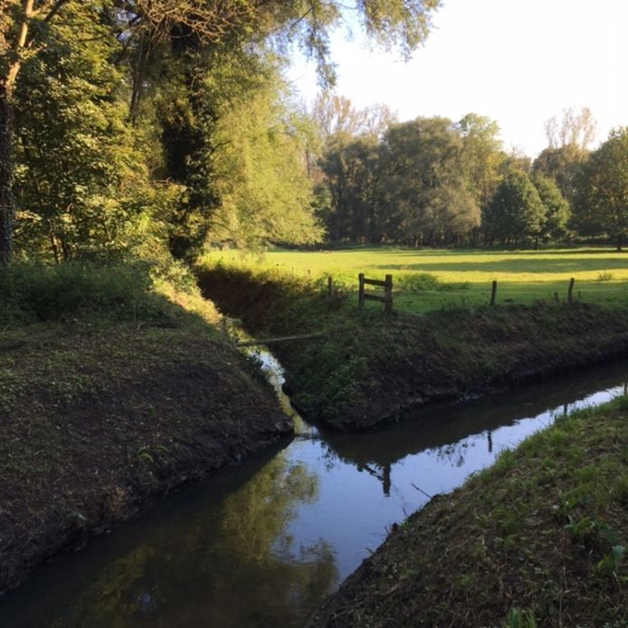 Water extraction ban in Flemish Brabant to be extended