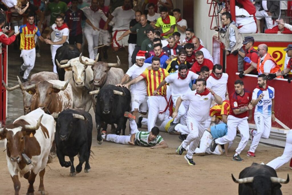Six injured at traditional bull run in Pamplona