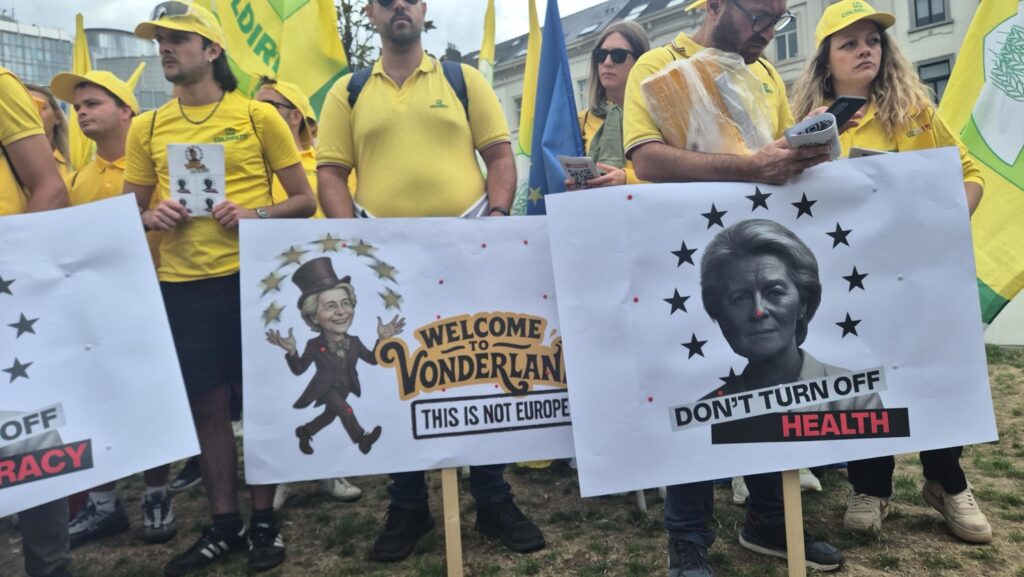 Farmers' unions from across Europe protest in Brussels