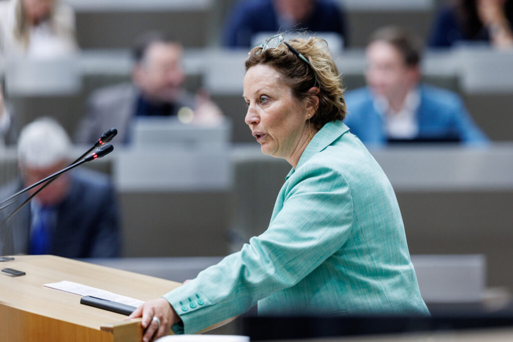 Greens: 'Too little budget for Blue Deal'