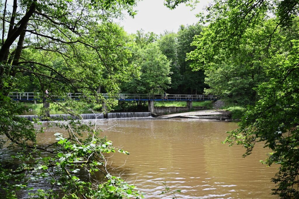 King Baudouin Foundation finances 45 initiatives to enhance life in the countryside