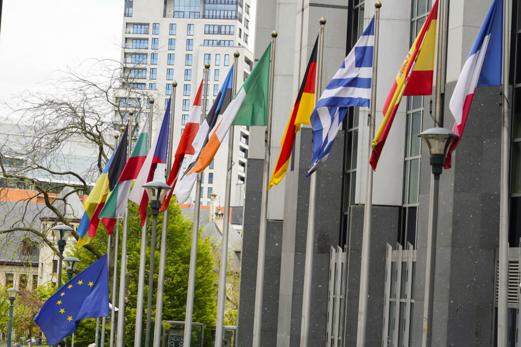 How the EU translates