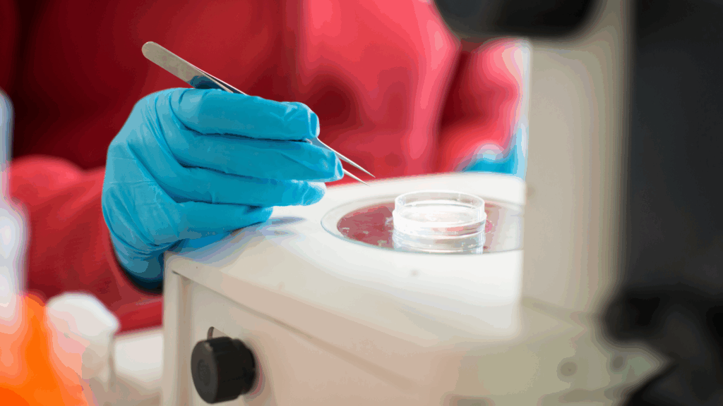 Could Belgium be the ‘silicon valley’ for biotech?