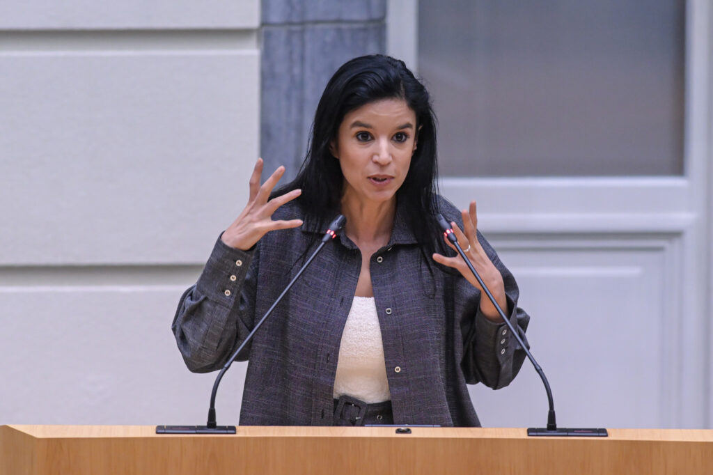 N-VA politician wants 'screening of existing mosques'