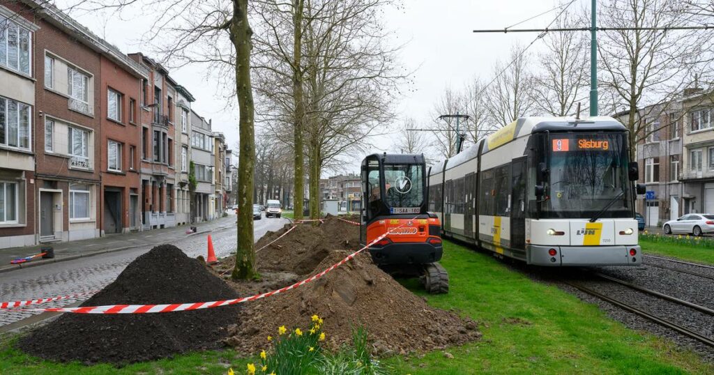 Tensions flare in Deurne district council meeting over controversial tree felling