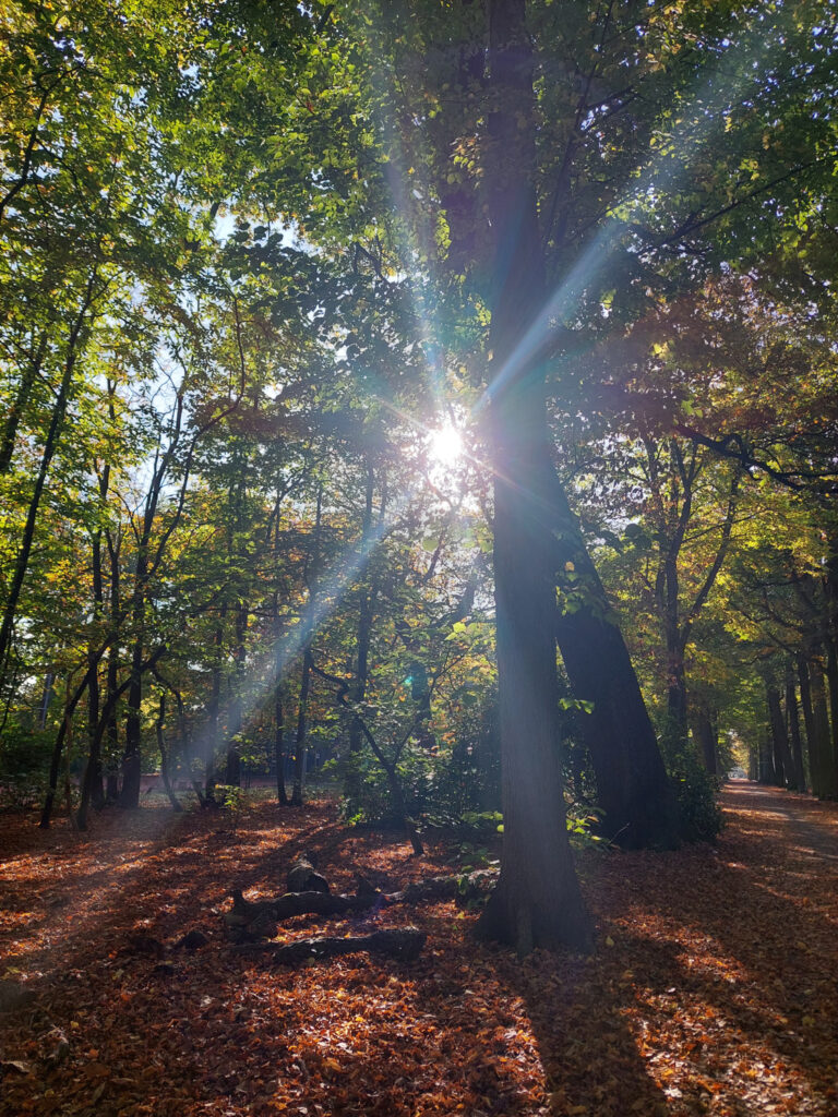 Dry, largely sunny afternoons this weekend