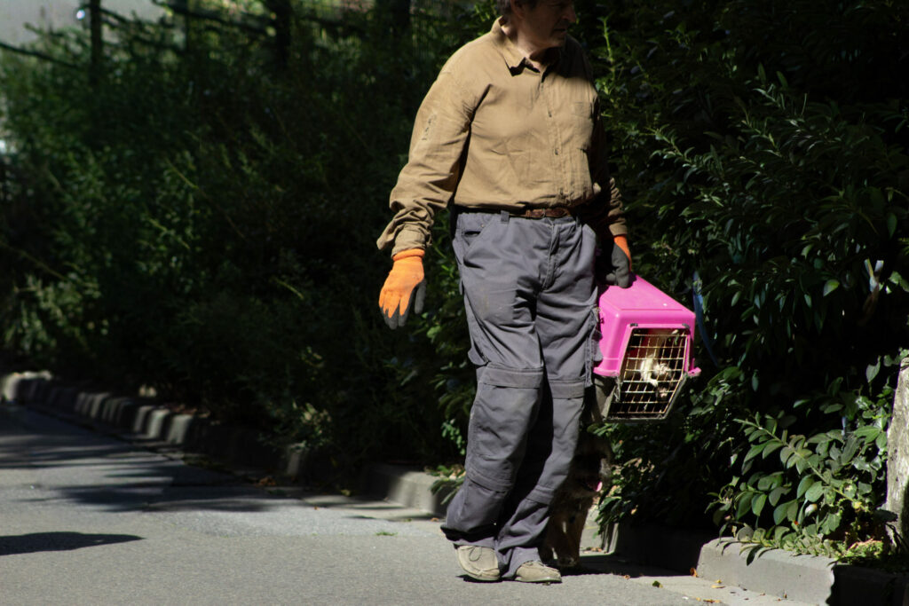 The Pied Piper of Brussels