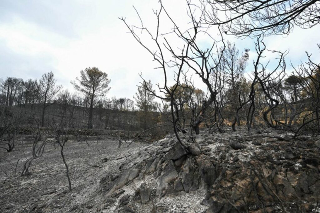 One of biggest wildfires in France lately still 'not under control'