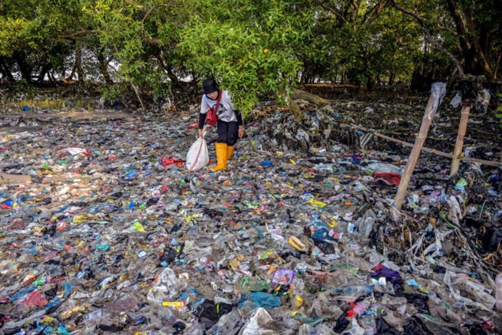 Plastic pollution poses 'serious and growing' health threat