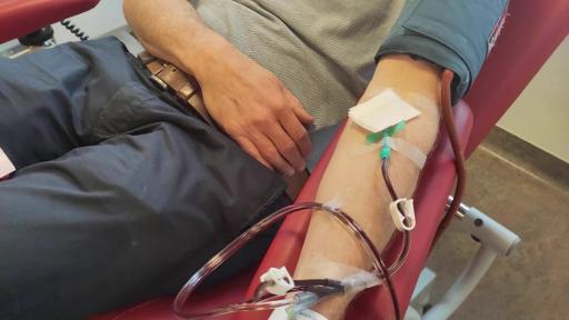 Pints for plasma: Red Cross rewards young donors with beer