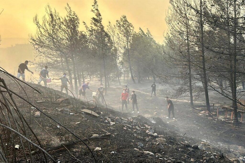 Wildfire forces over 2,000 people to evacuate in Turkey