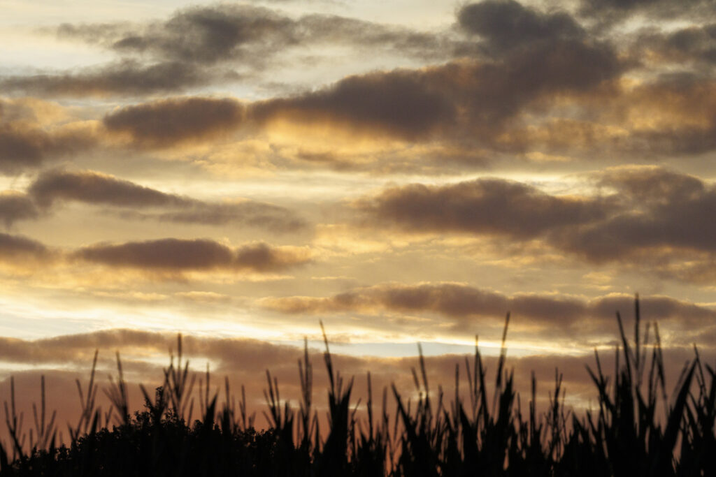 Fickle weather until next weekend