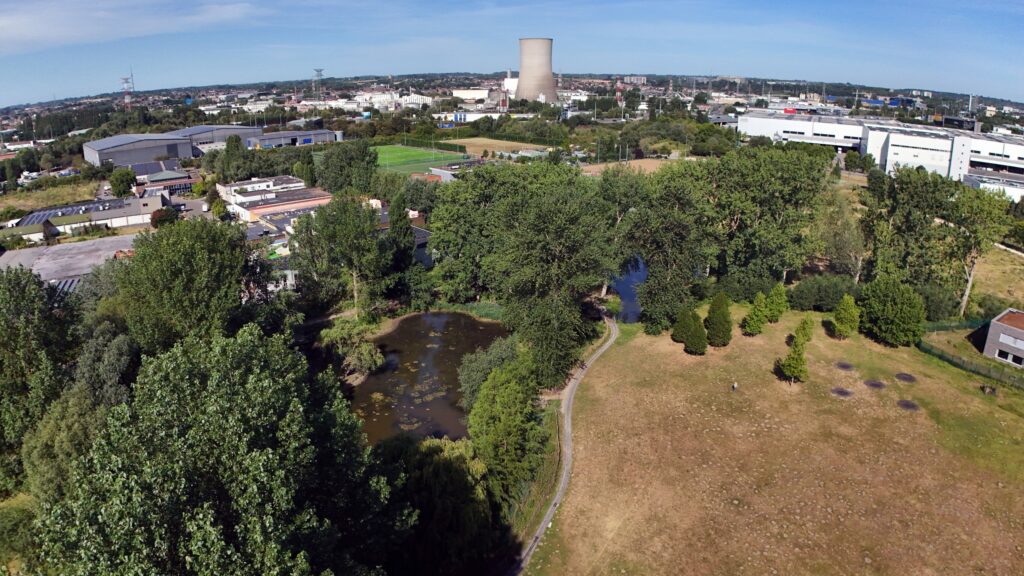 Union Saint-Gilloise to cut down over 200 trees for new stadium