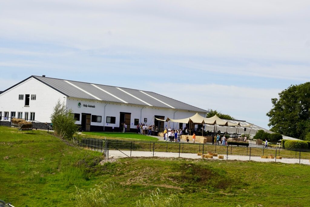 A new haven for abused farm animals opens in Waterloo