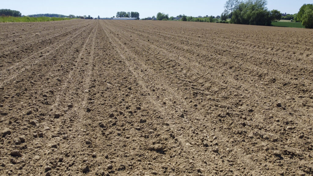 Belgium records driest spring-summer period in over 100 years