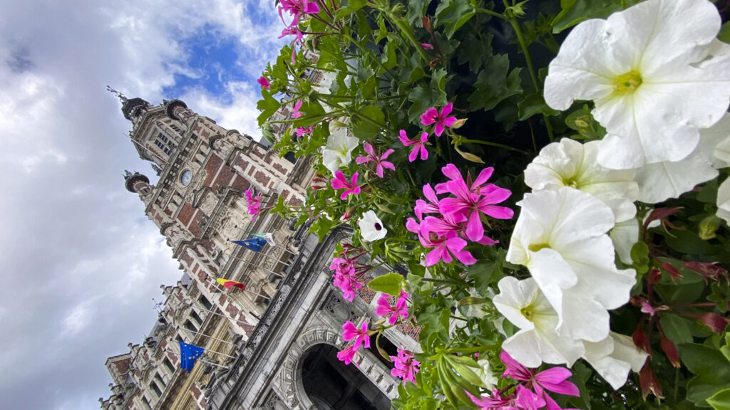 Schaerbeek increases taxes and local fees to balance finances