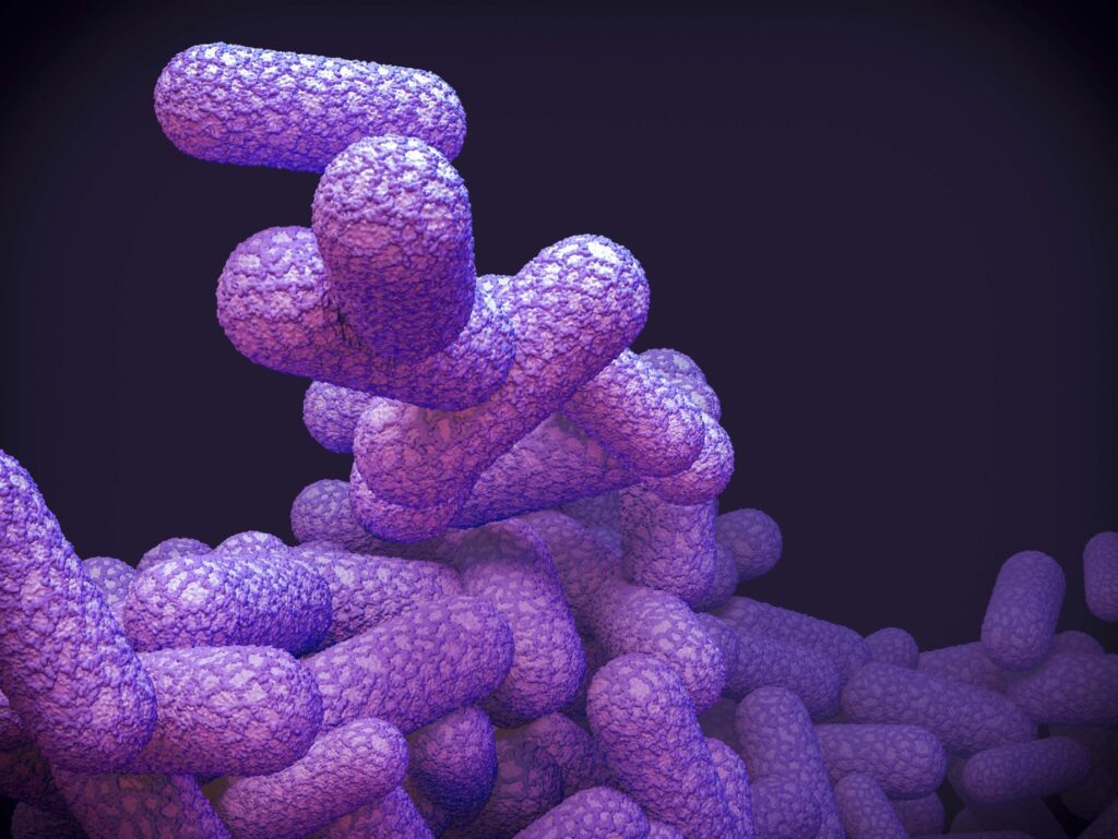 STEC attack: 'No cause for alarm,' says health agency