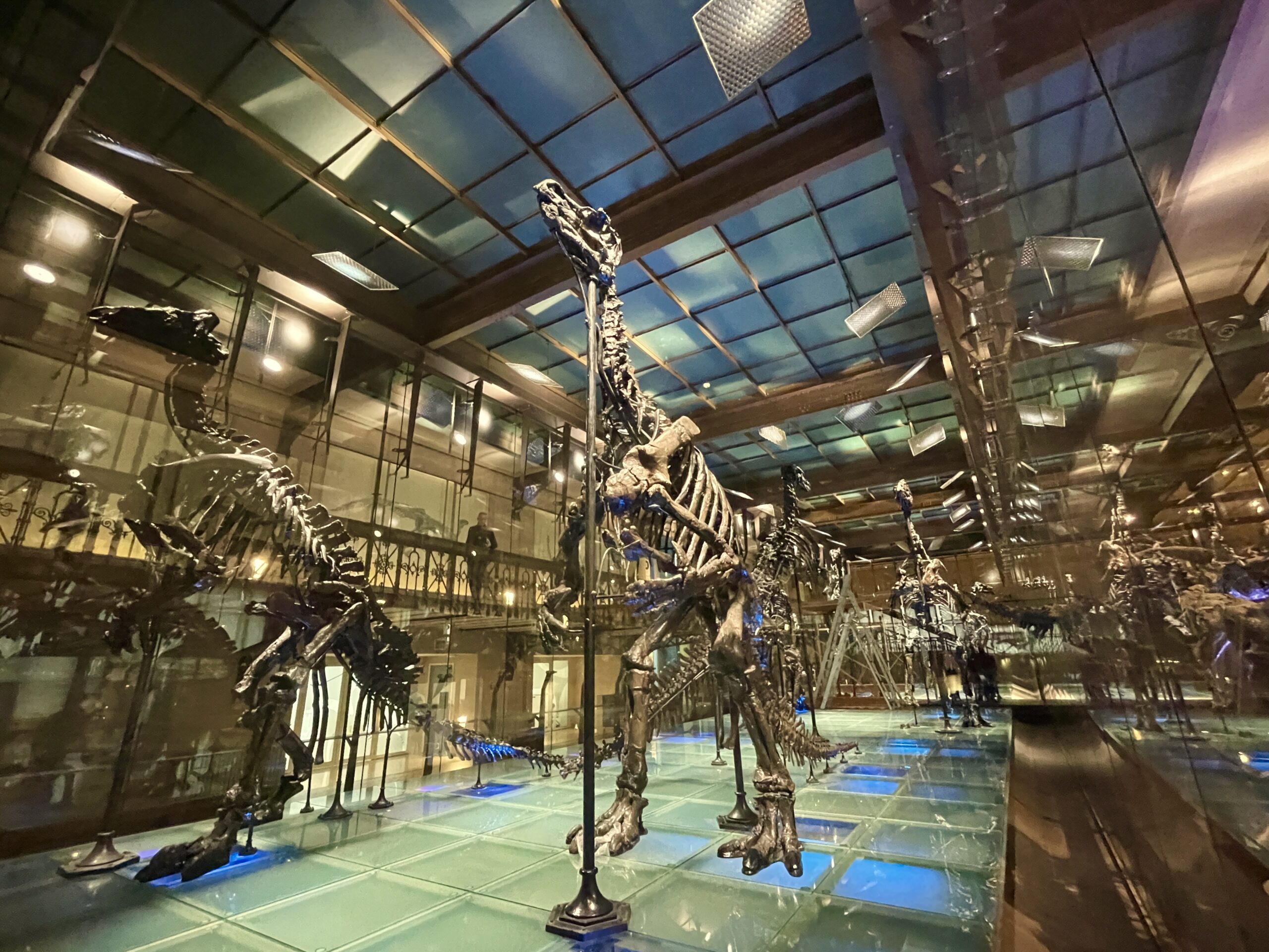 Inside Belgium's infinite library of nature