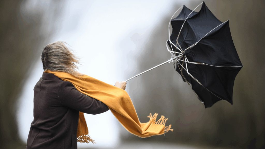 Yellow code warning issued for strong winds