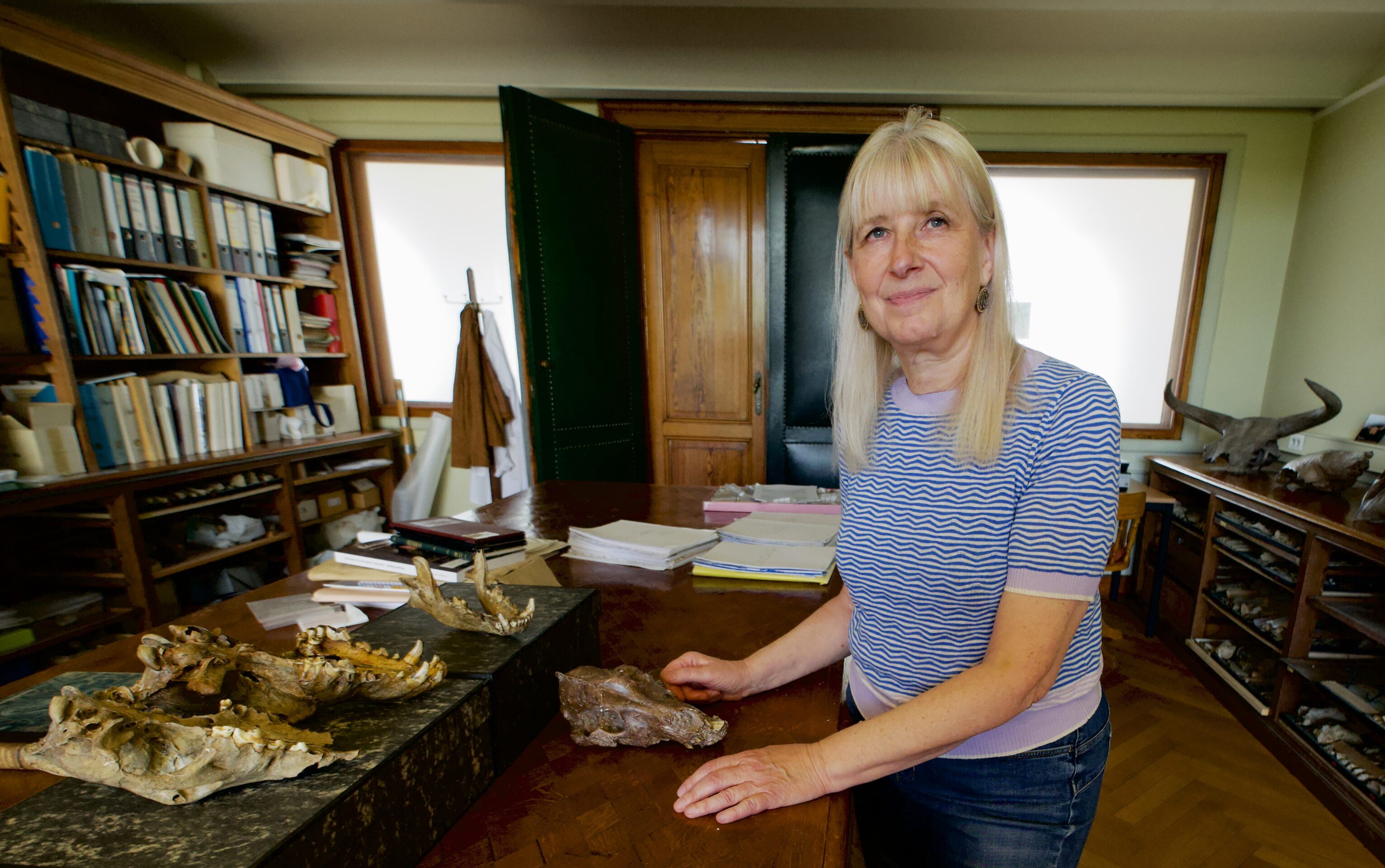 Was the world’s first dog from Belgium?