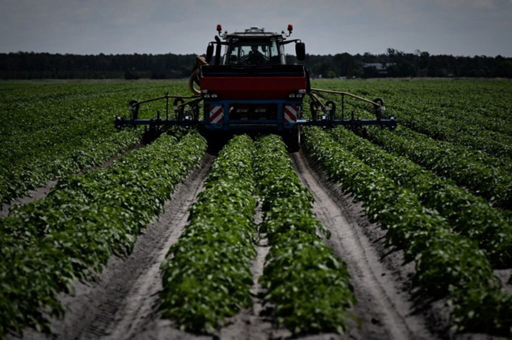 Belgium second biggest exporter of banned pesticides in EU