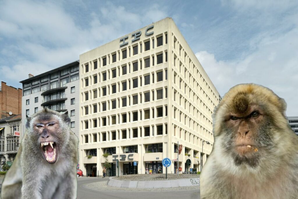 Le Chou: Brussels Media Outlet Staffed Completely By Monkeys