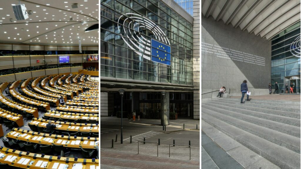 Belgium in Brief: Is your MEP doing their job?