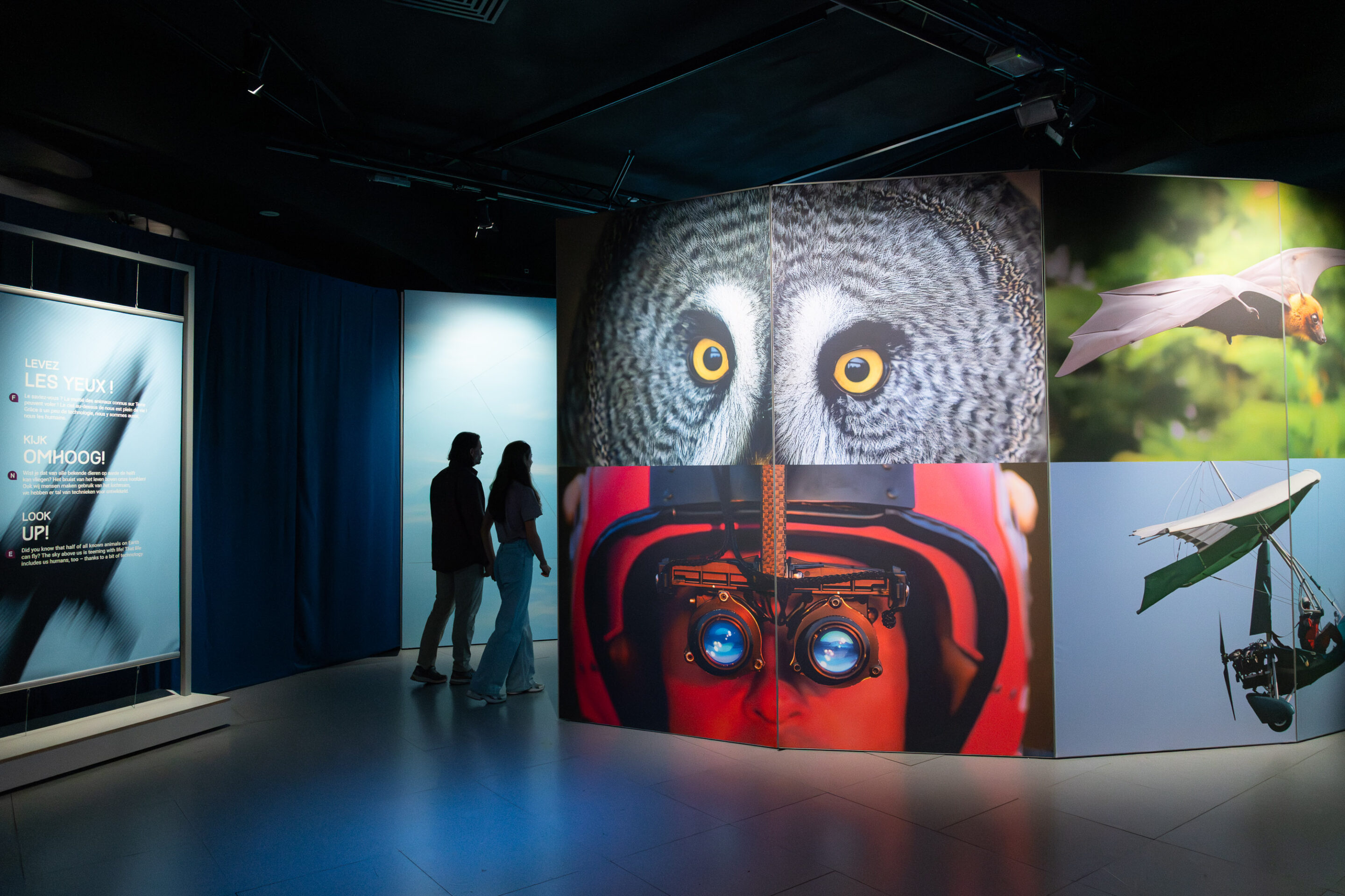 A fascinating journey into the heart of flight!