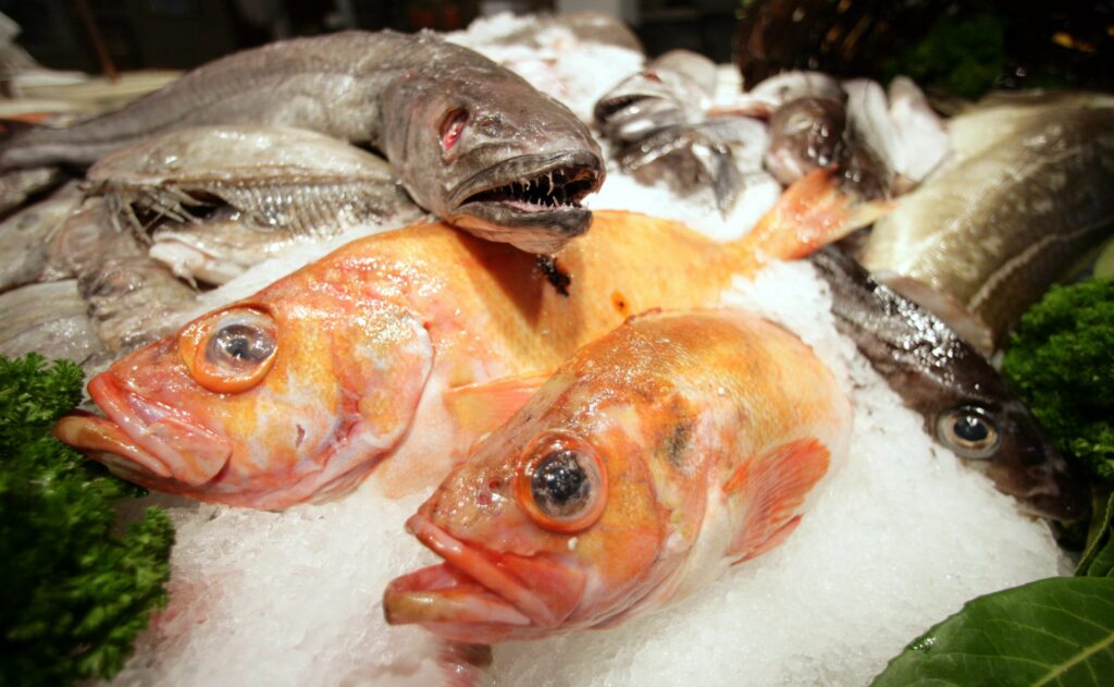 Antwerp fishmongers shut down in money laundering case