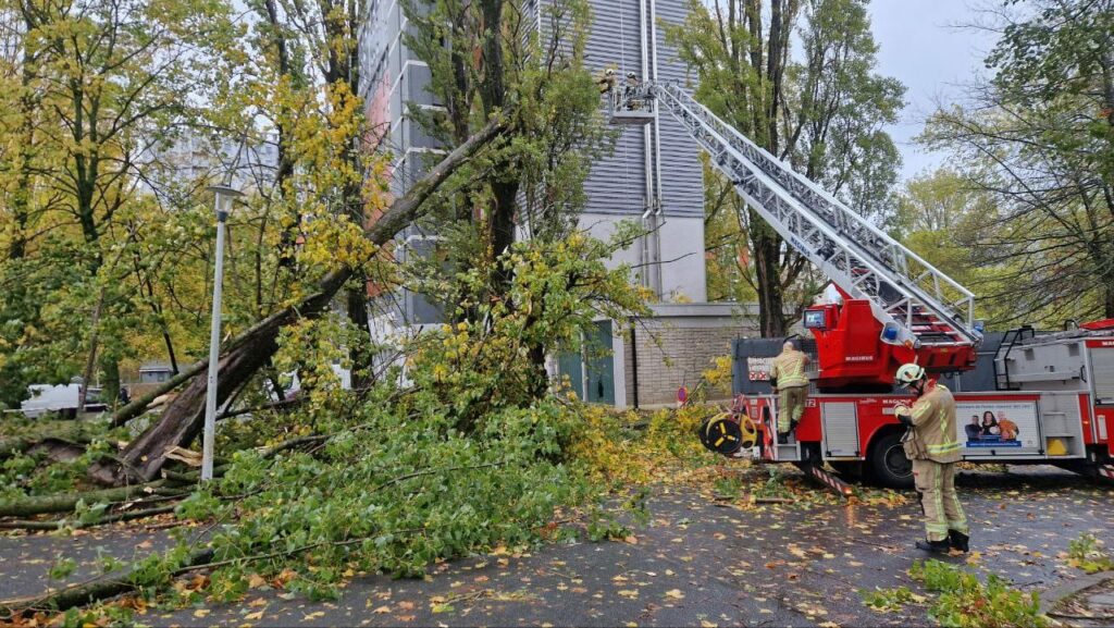 Storm Benjamin’s aftermath in Brussels