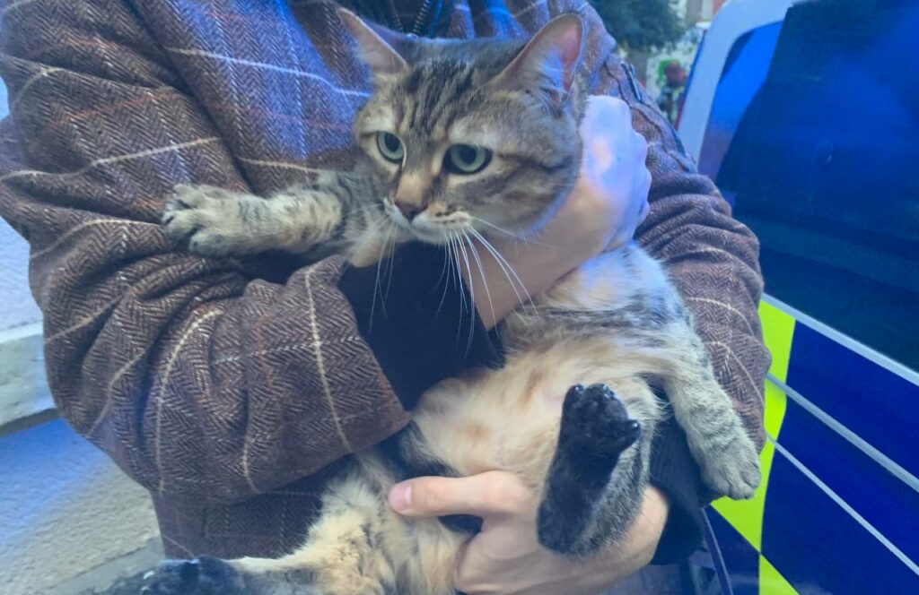 Building gutted by fire in Saint-Gilles