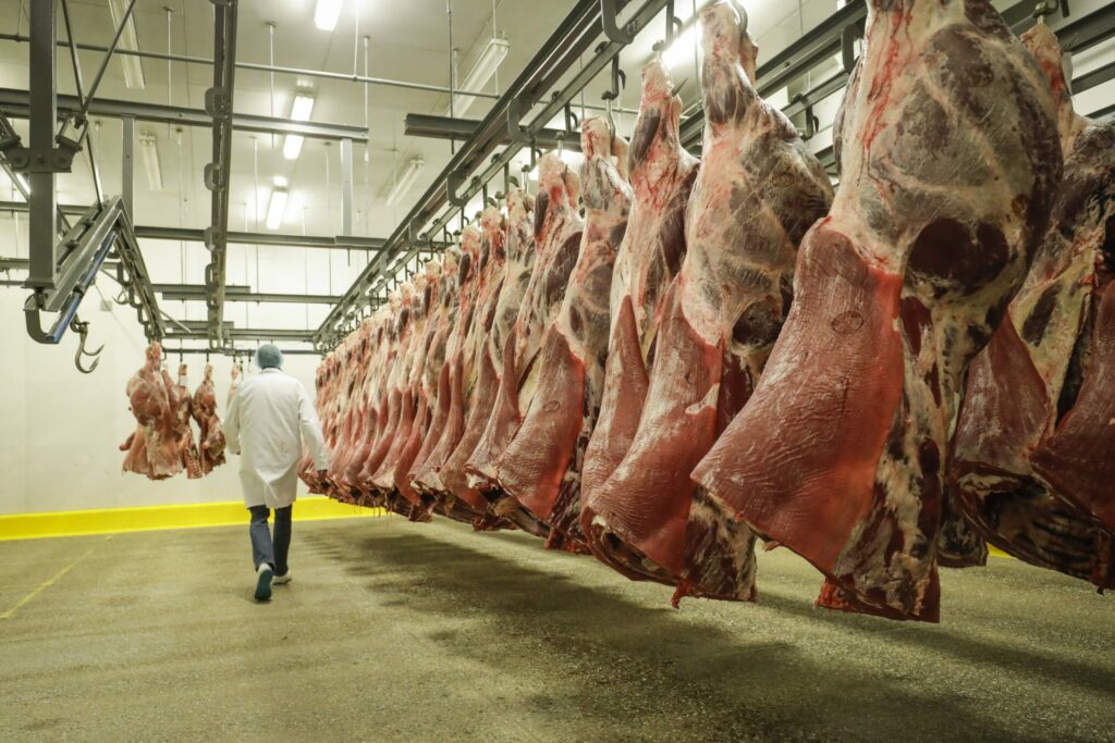 Organised crime in Liège meat sector leads to 18 arrests