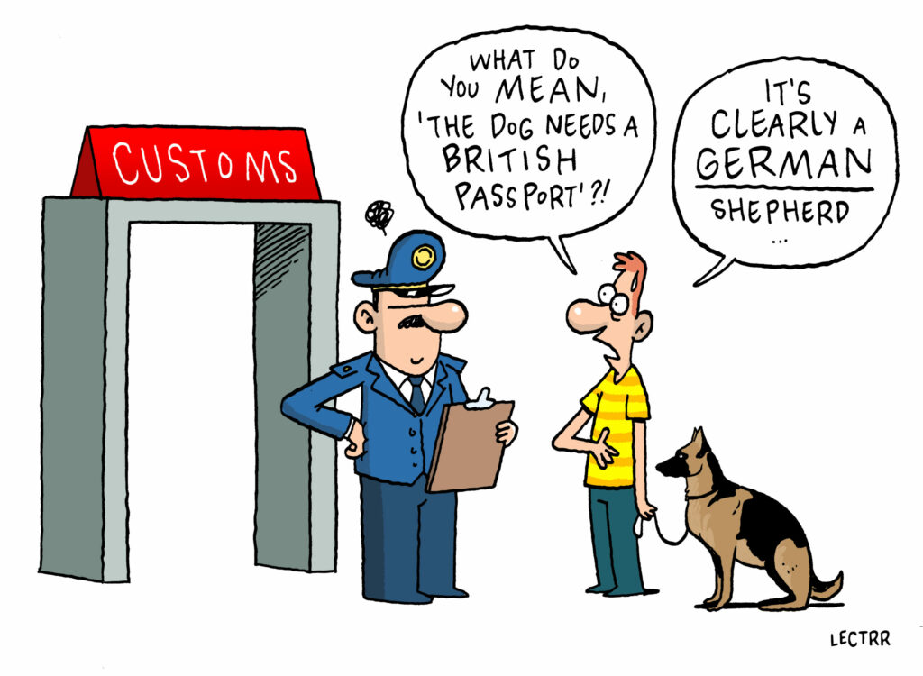 Dog/Pet/Animal Grooming Program - Career Outcomes, Schools & Cost ... - Politics Dog Grooming Careers