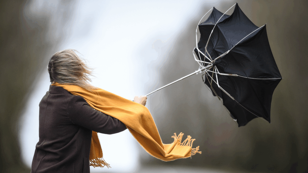 Parks close and warnings issued as Storm Benjamin hits Brussels