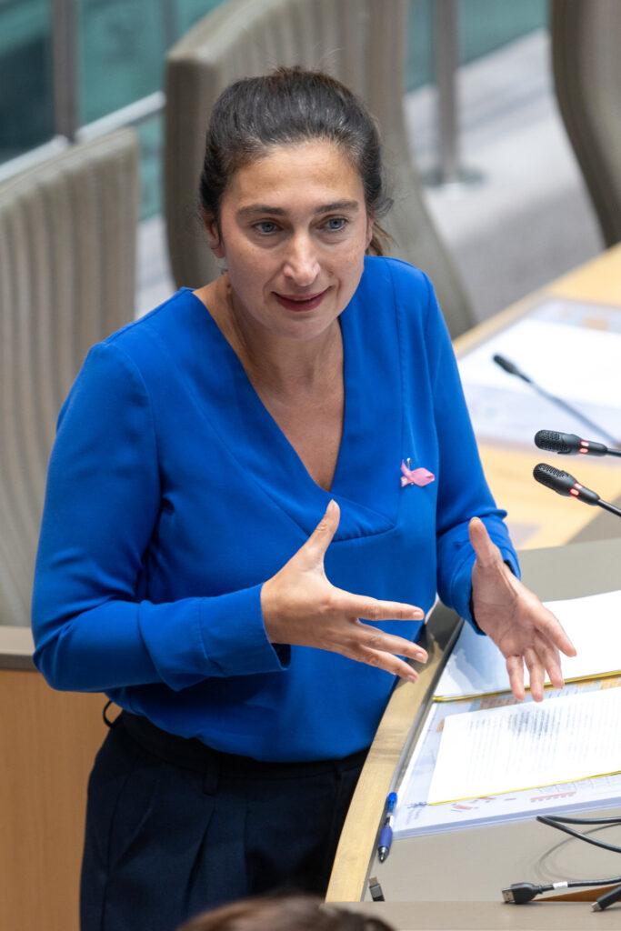 Flemish Education Minister suggests guardianship system for problem schools