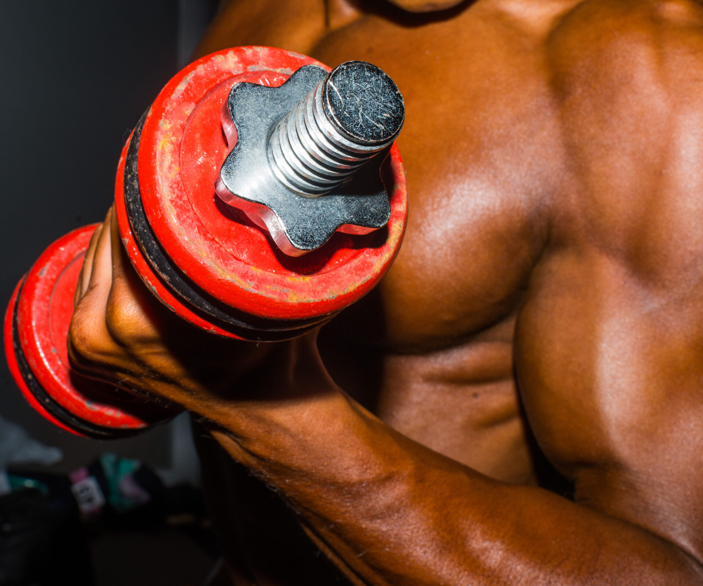 Belgium’s bodybuilding revival – in photos