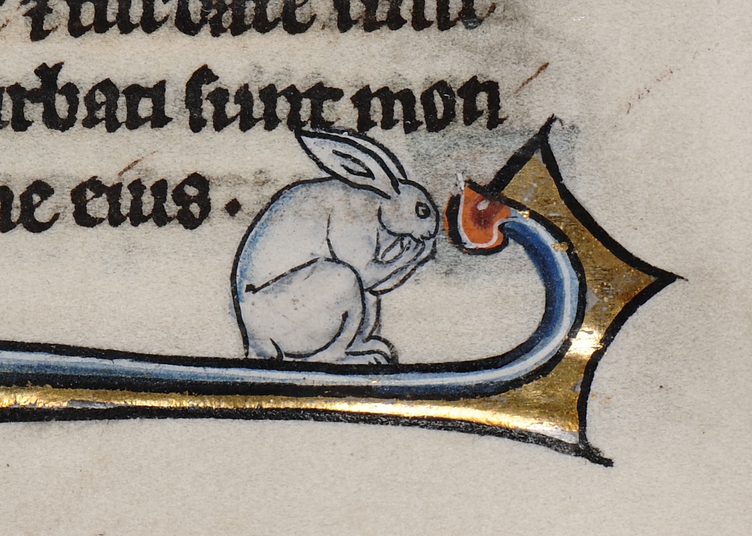 The original bad bunnies: When rabbits ruled the margins