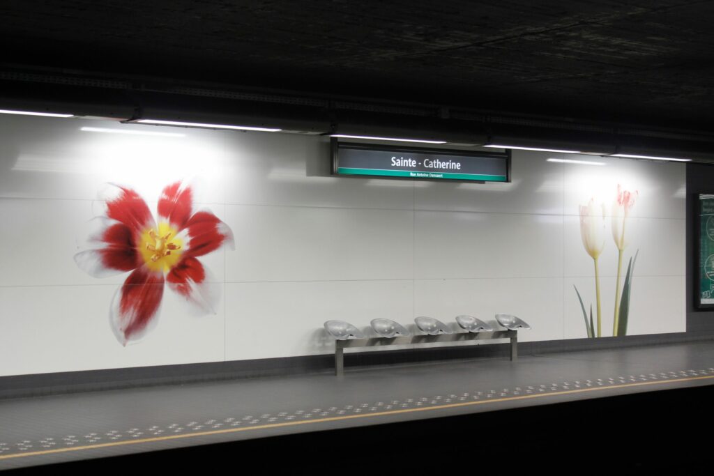 Saint-Catherine metro station evacuated after smoke detected