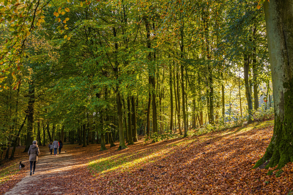 Best Brussels parks to cool down in during heatwaves