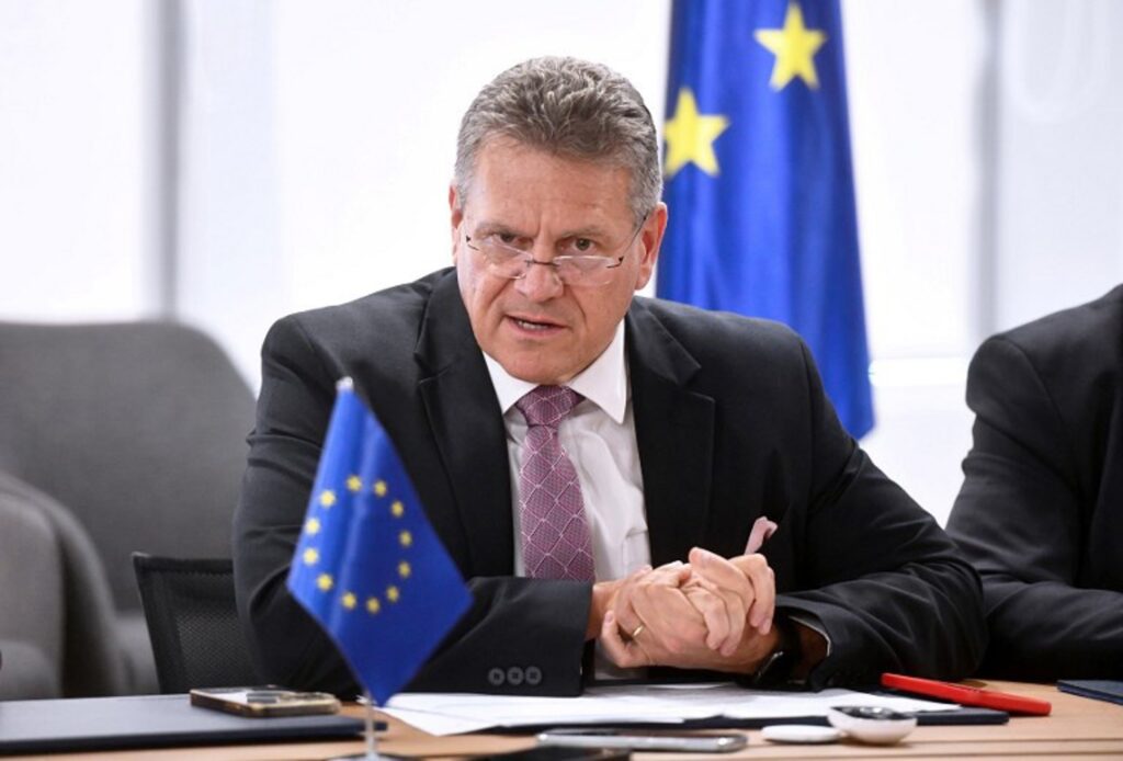 EU honouring trade commitments, but US pushing to scrap its digital laws