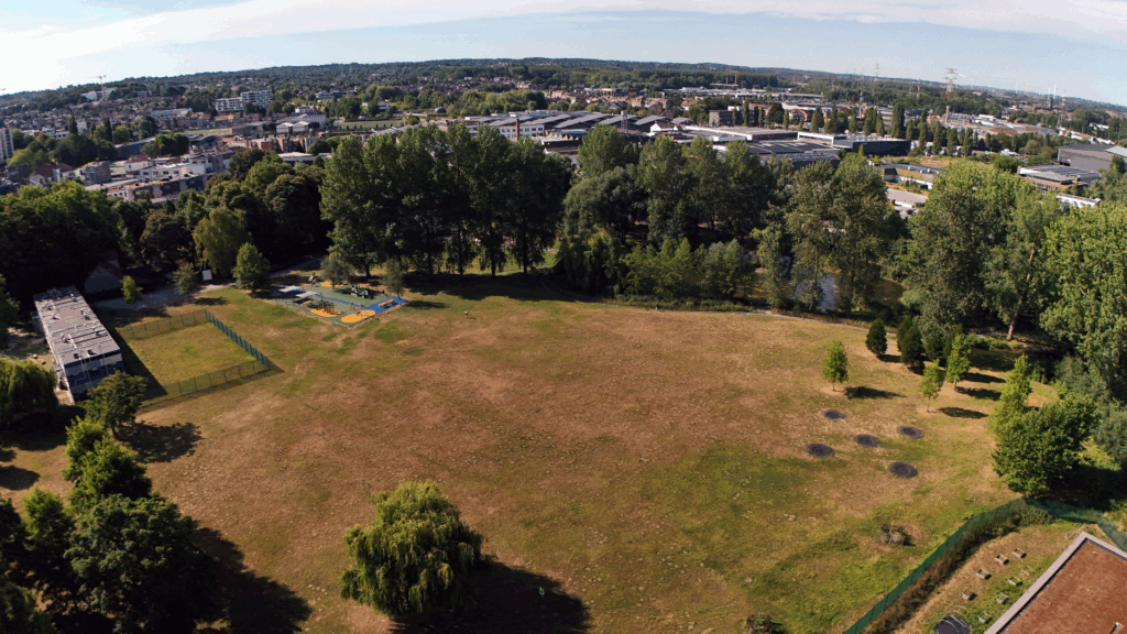 Construction in Brussels halted after court sides with nature groups