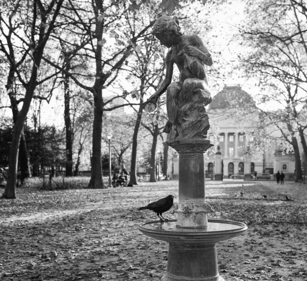 Our distant Belgitudes