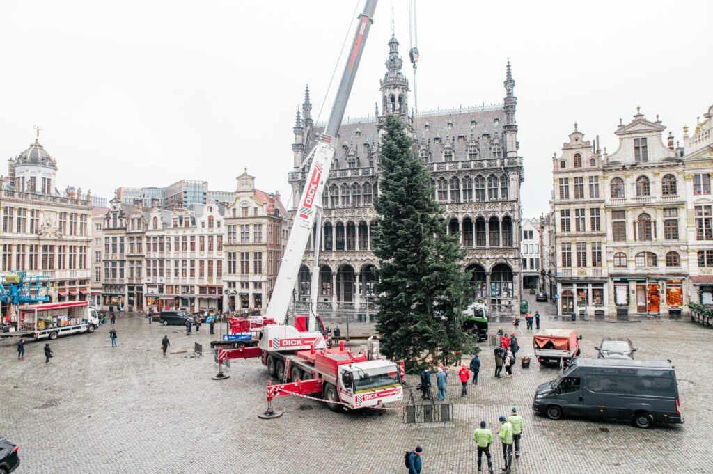 Christmas tree arrives at Brussels' Grand-Place this morning